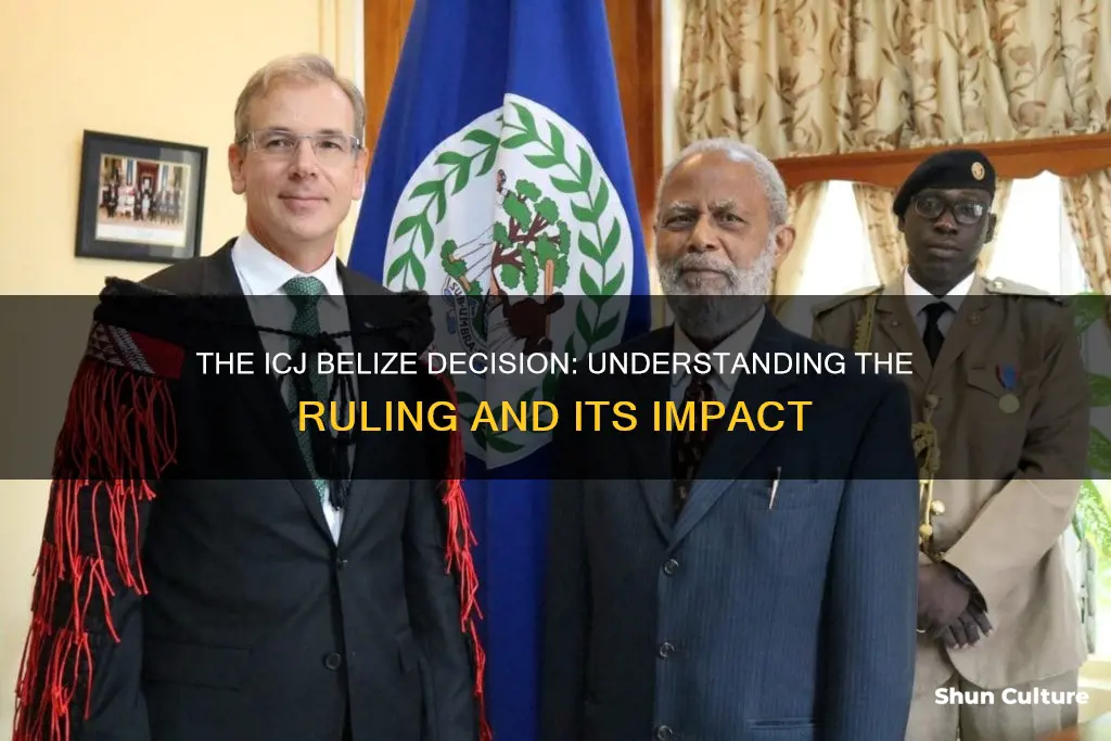 what is icj belize