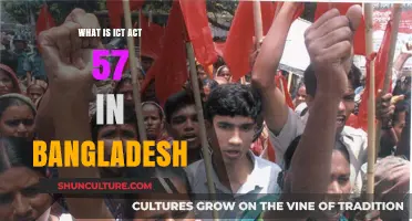 Understanding Bangladesh's ICT Act 57: Key Provisions and Implications