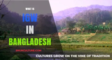 Understanding IGW in Bangladesh: Importance, Role, and Impact Explained