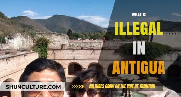 Understanding Antigua's Legal Boundaries: What's Prohibited for Visitors and Locals