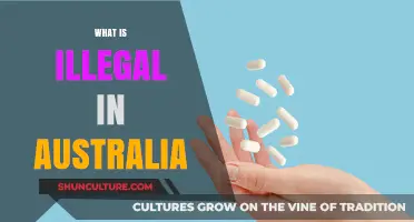 Unlawful Down Under: Exploring Australian Illegality