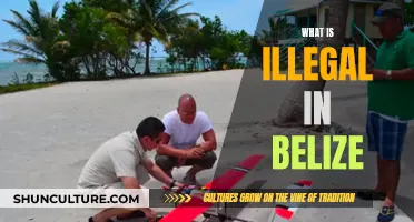 Belize's Underground: Exploring the Illegal and Taboo