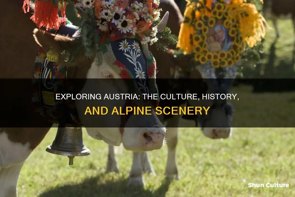 what is important in austria