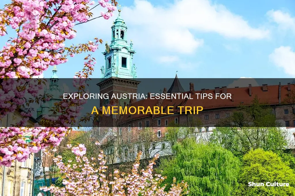 what is important to know when visiting austria