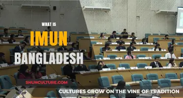 Understanding IMUN Bangladesh: A Comprehensive Guide to Model UN in Bangladesh