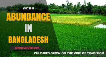 Bangladesh's Bounty: Exploring the Country's Abundant Natural and Cultural Wealth