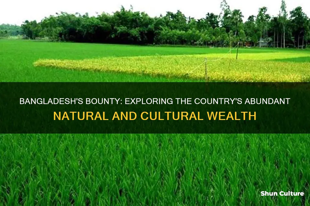 what is in abundance in bangladesh