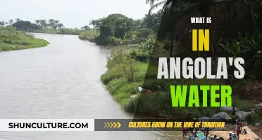 Angola's Water Mystery: What's in it?