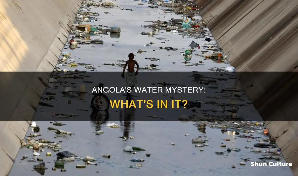 what is in angola