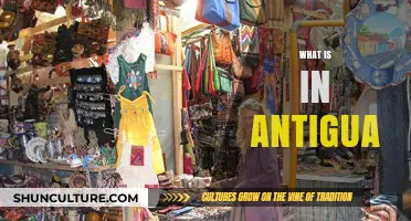 Discover Antigua's Hidden Gems: Culture, Beaches, and History Unveiled