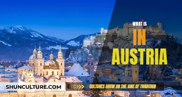 Austria's Unique Offerings: A Comprehensive Overview