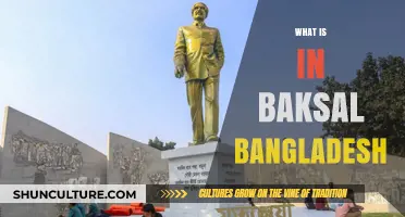 Exploring Baksal Bangladesh: History, Impact, and Legacy Unveiled