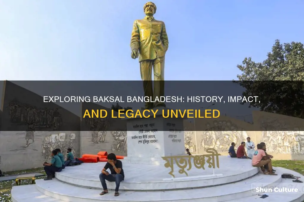 what is in baksal bangladesh