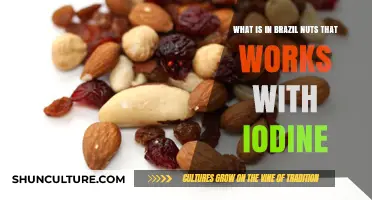 Brazil Nuts and Iodine: Unlocking the Selenium Synergy for Thyroid Health
