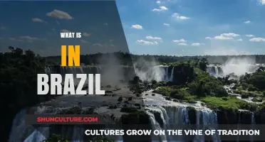 Exploring Brazil's Rich Culture, Vibrant Cities, and Stunning Natural Wonders