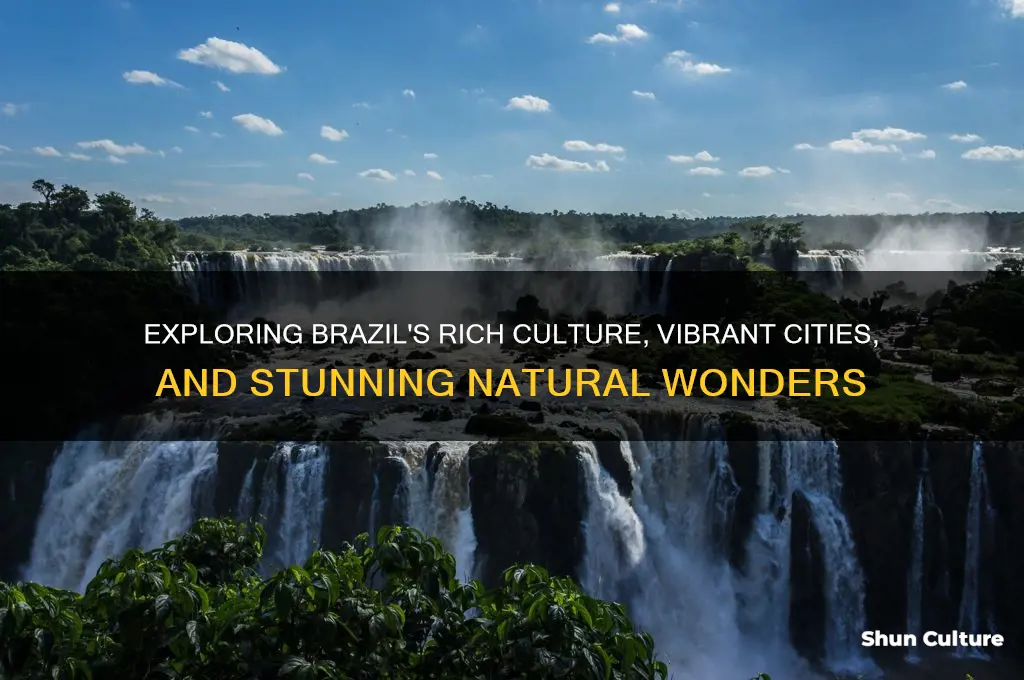 what is in brazil