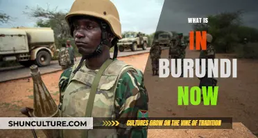 Exploring Burundi Today: Insights into Its Current State and Culture