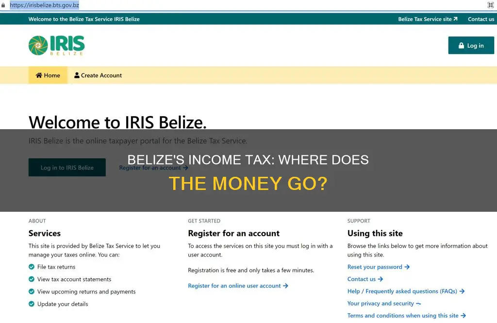 what is income tax used for in belize