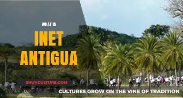 Understanding Inet Antigua: A Comprehensive Guide to Its Role and Impact