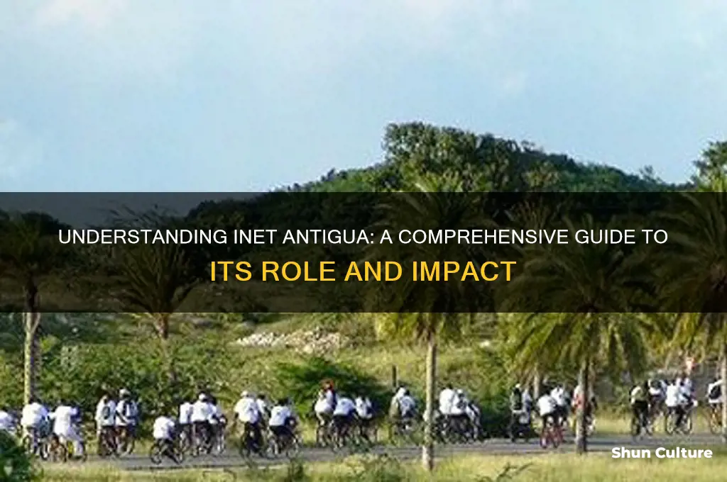 what is inet antigua
