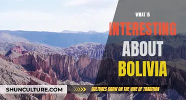 Bolivia's Unique Allure: What Makes It So Fascinating?