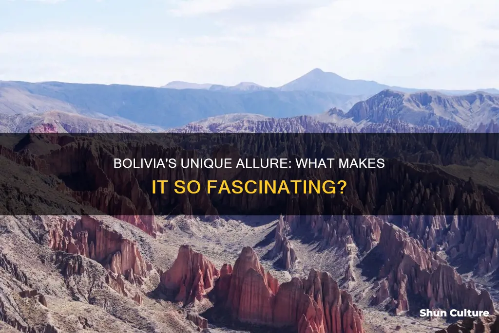 what is interesting about bolivia