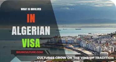 Understanding Algerian Visa Requirements: A Comprehensive Guide for Travelers