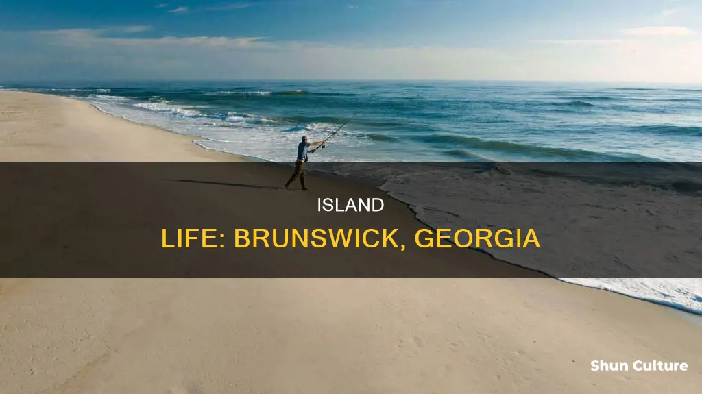 what is island life in brunswick ga