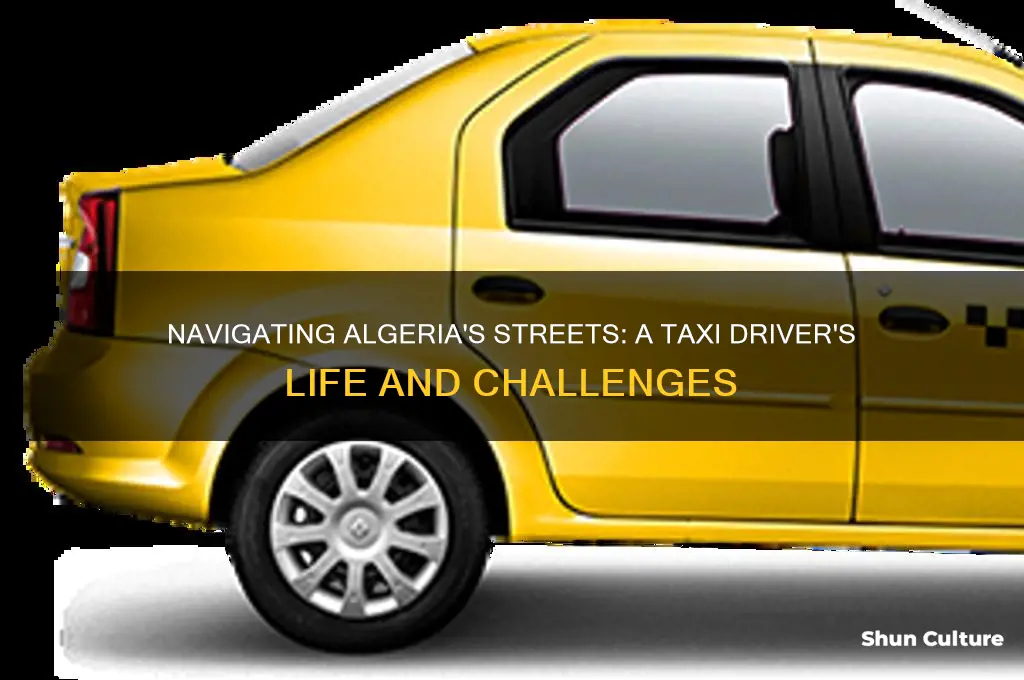 what is it like being a taxi driver in algeria