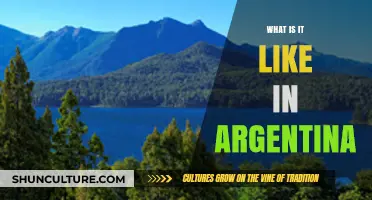 Exploring the Vibrant Culture and Natural Wonders of Argentina