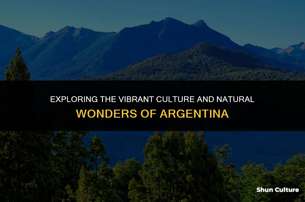 what is it like in argentina