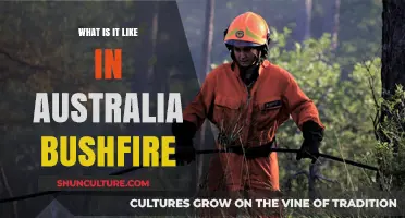 Surviving Australia's Bushfires: A Firsthand Account of the Devastation