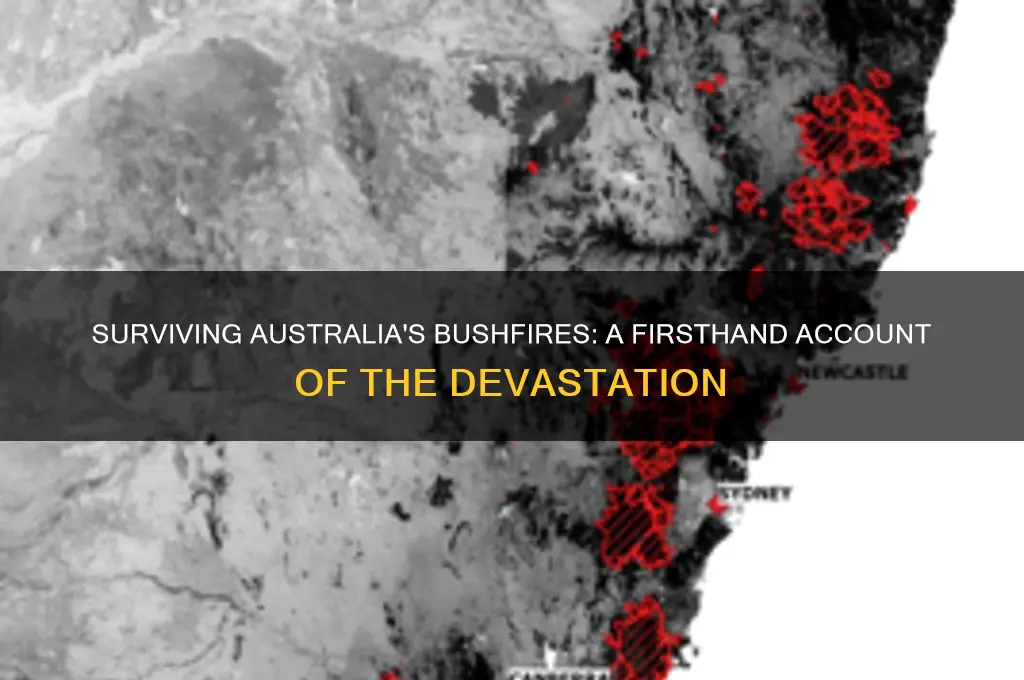 what is it like in australia bushfire
