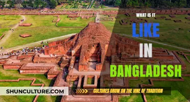 Exploring Bangladesh: Culture, Landscapes, and Daily Life Insights