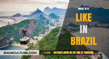 Exploring Brazil's Culture, Landscapes, and Vibrant Daily Life