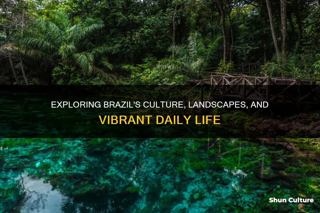 what is it like in brazil
