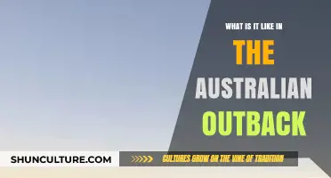 Exploring the Australian Outback: A Journey Through Its Unique Landscapes