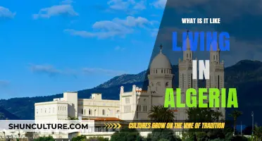 Exploring Life in Algeria: Culture, Daily Routines, and Local Insights