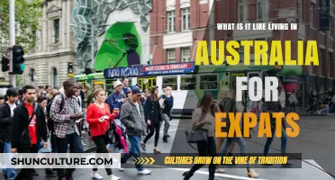 Expats Share Their Unique Experiences Living in Australia