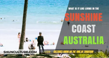 Sunshine Coast Living: Beaches, Lifestyle, and Community in Australia's Paradise