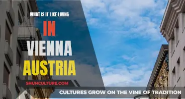 Exploring Vienna's Charm: A Guide to Austrian Life