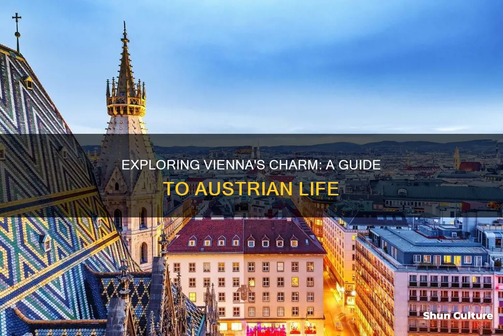 what is it like living in vienna austria