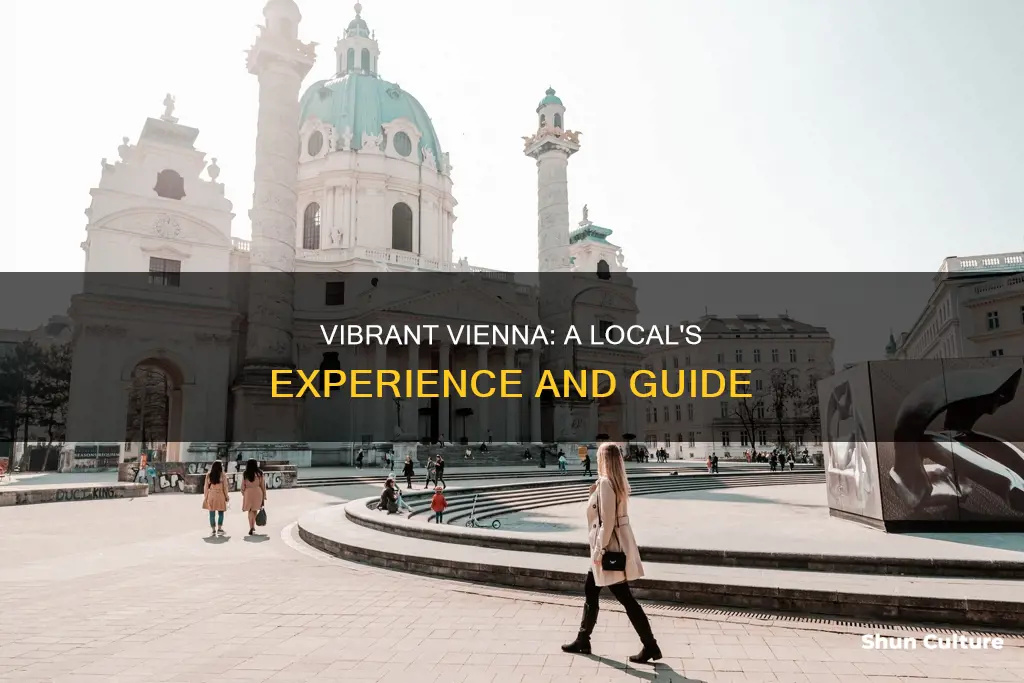 what is it like living in vienna austria