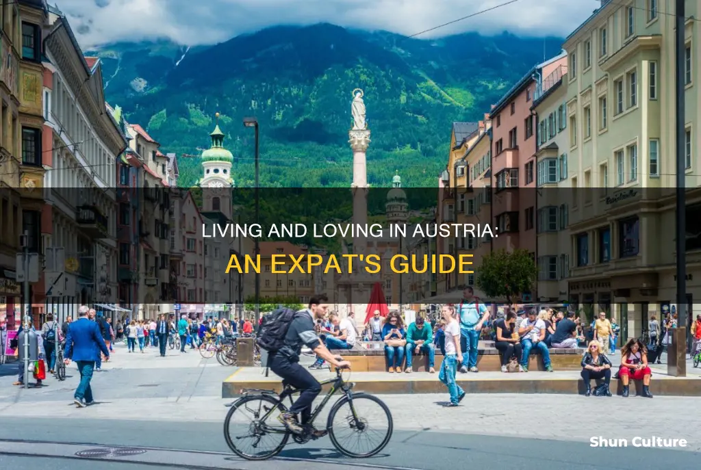 what is it like loving in austria