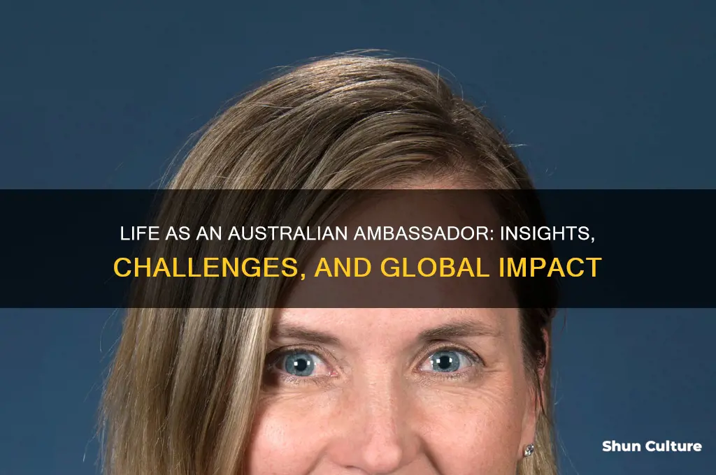 what is it like to be a australian ambassador