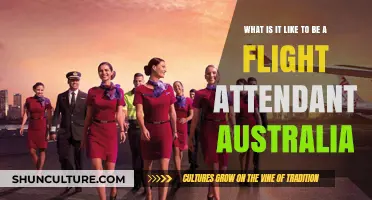 Exploring the Life of a Flight Attendant in Australia