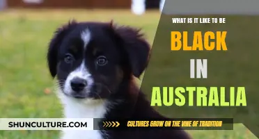 Being Black in Australia: Experiences, Challenges, and Cultural Identity Explored