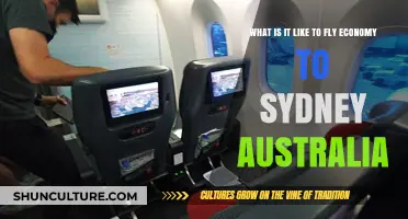 Economy Class to Sydney: Comfort, Cost, and Travel Experience Revealed