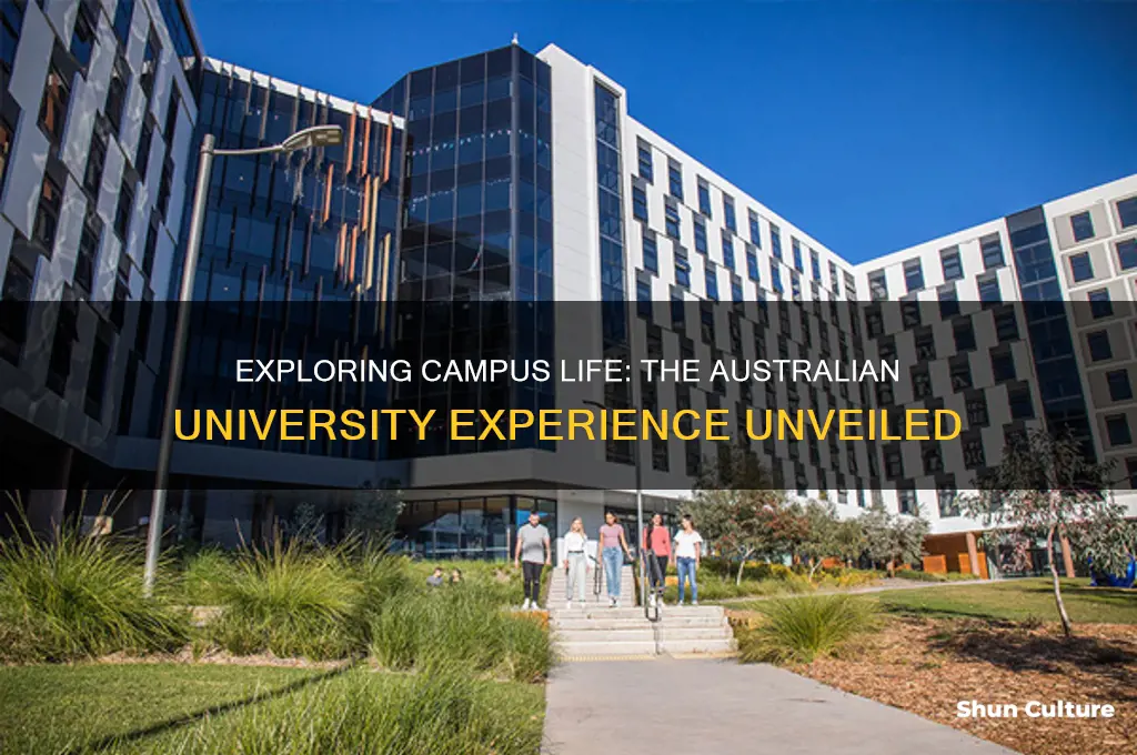 what is it like to go to university in australia