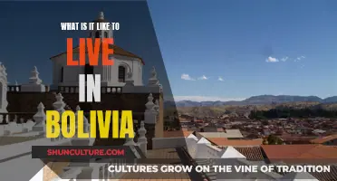 Exploring Bolivia: A Local's Perspective